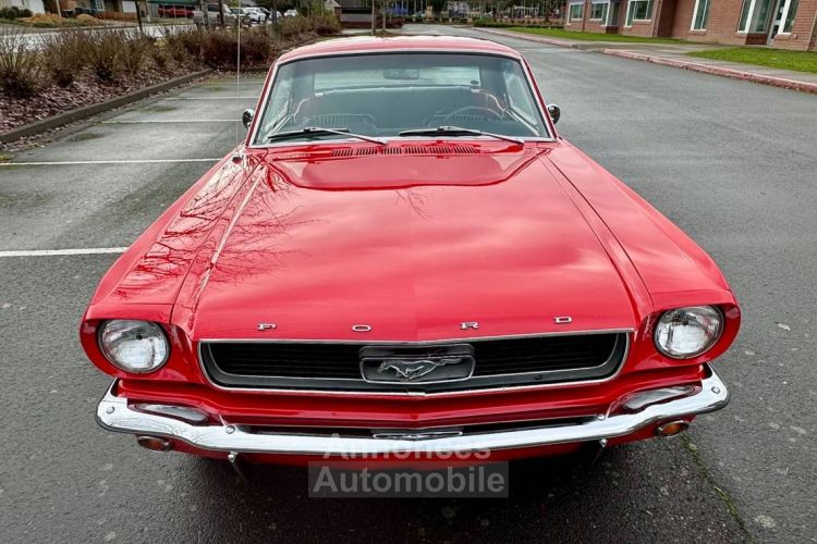 Ford Mustang - <small></small> 35.000 € <small>TTC</small> - #5