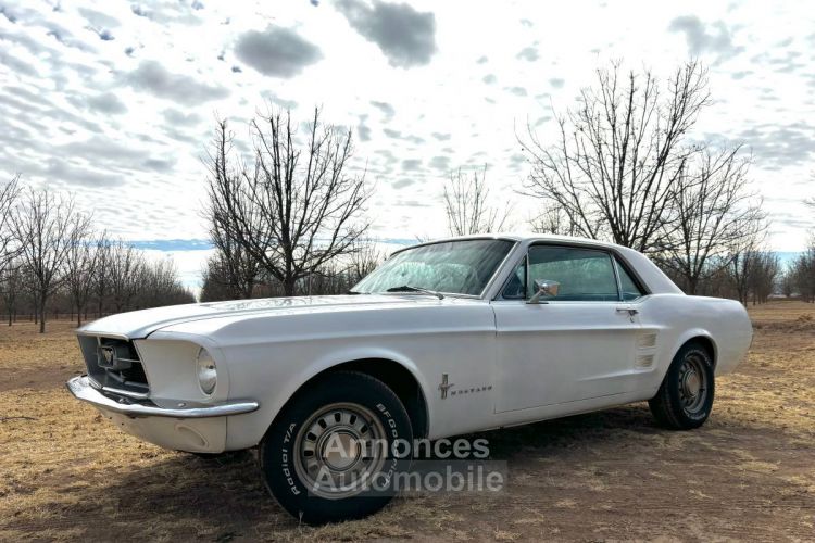 Ford Mustang - <small></small> 26.000 € <small>TTC</small> - #1