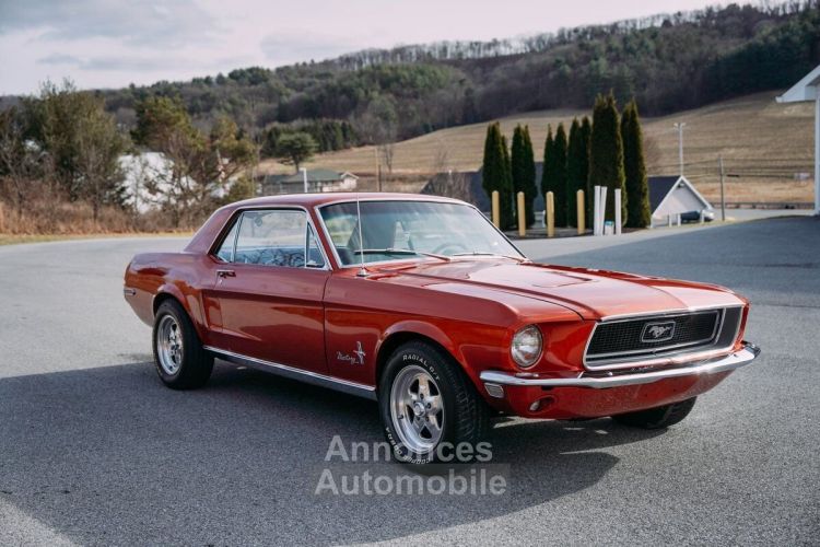 Ford Mustang - <small></small> 41.000 € <small>TTC</small> - #17