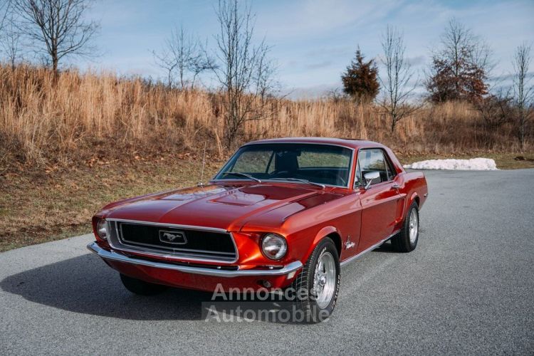 Ford Mustang - <small></small> 41.000 € <small>TTC</small> - #19