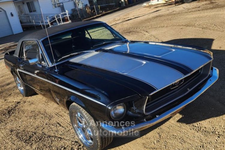 Ford Mustang - <small></small> 37.000 € <small>TTC</small> - #8