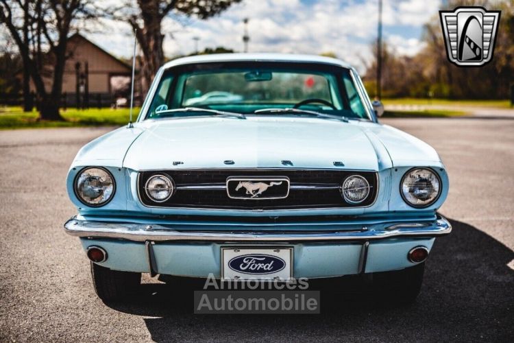 Ford Mustang - <small></small> 62.200 € <small>TTC</small> - #11