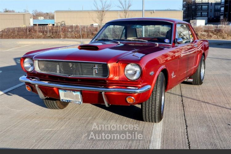 Ford Mustang 289 v8 1966 - <small></small> 27.020 € <small>TTC</small> - #1