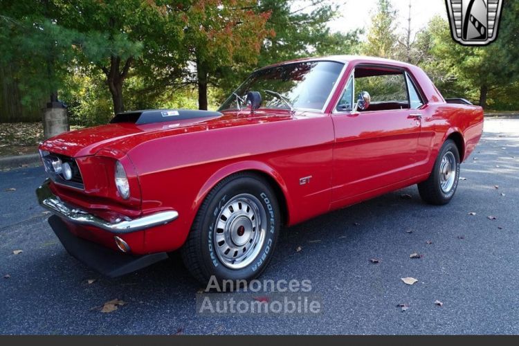 Ford Mustang 289 v8 1966 - <small></small> 26.030 € <small>TTC</small> - #1