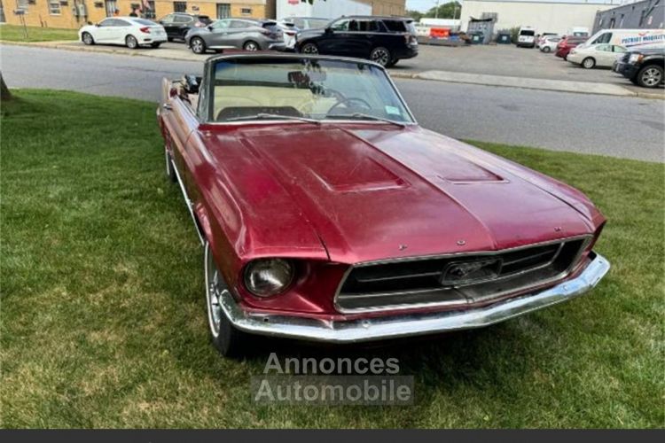 Ford Mustang 289 v8 1967 - <small></small> 27.644 € <small>TTC</small> - #4