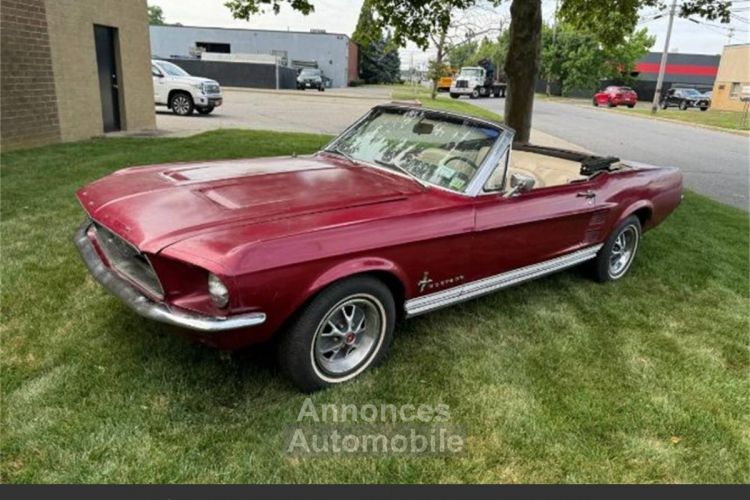 Ford Mustang 289 v8 1967 - <small></small> 27.644 € <small>TTC</small> - #6