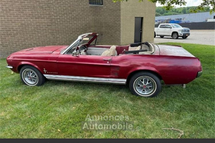 Ford Mustang 289 v8 1967 - <small></small> 27.644 € <small>TTC</small> - #7