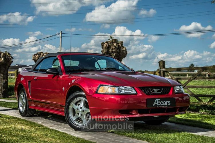 Ford Mustang 3.8i V6 - <small></small> 16.950 € <small>TTC</small> - #8