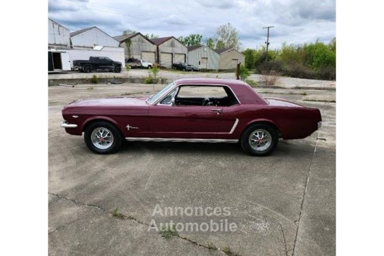 Ford Mustang COUPE 1965 dossier complet au 0651552080 - <small></small> 42.400 € <small>TTC</small> - #2