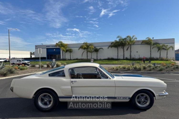 Ford Mustang FASTBACK CLONE GT 350 1965 - <small></small> 74.000 € <small>TTC</small> - #14