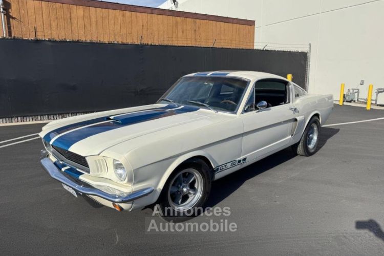 Ford Mustang FASTBACK CLONE GT 350 1965 - <small></small> 74.000 € <small>TTC</small> - #21