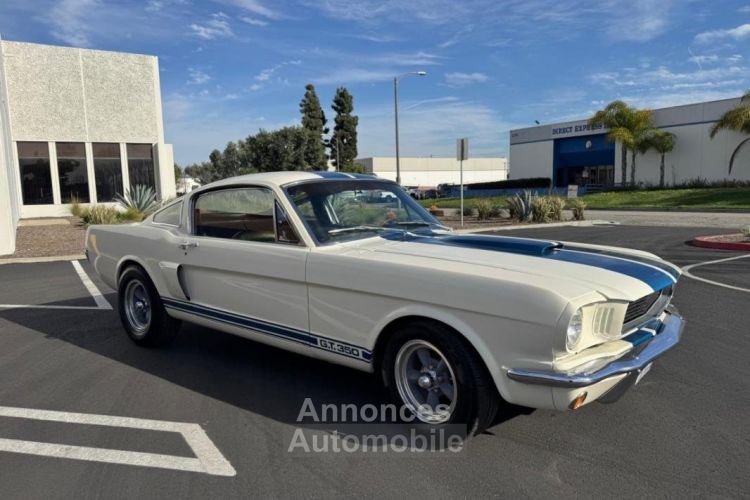 Ford Mustang FASTBACK CLONE GT 350 1965 - <small></small> 74.000 € <small>TTC</small> - #22