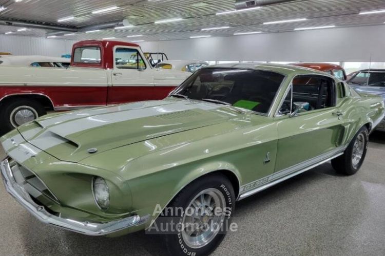 Ford Mustang FASTBACK GT350 TRIBUTE - <small></small> 83.500 € <small>TTC</small> - #1