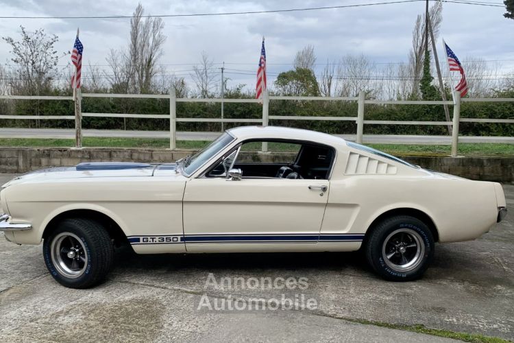 Ford Mustang FASTBACK SHELBY GT 350 TRIBUTE - Prix sur Demande - #2