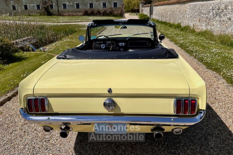 Ford Mustang gt 1966 cab - <small></small> 67.900 € <small>TTC</small> - #22