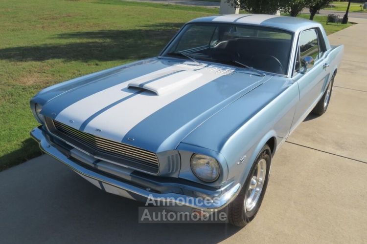 Ford Mustang GT 350 - <small></small> 29.990 € <small>TTC</small> - #1