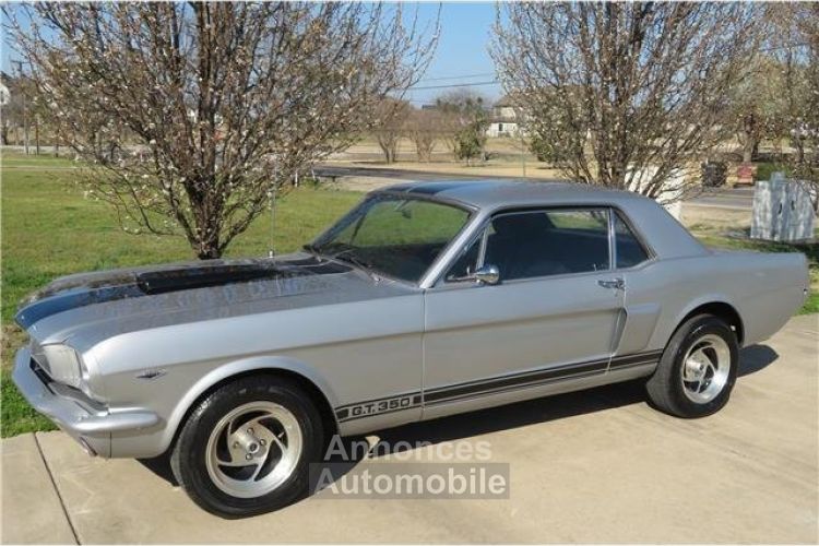 Ford Mustang GT350 - <small></small> 27.900 € <small>TTC</small> - #3