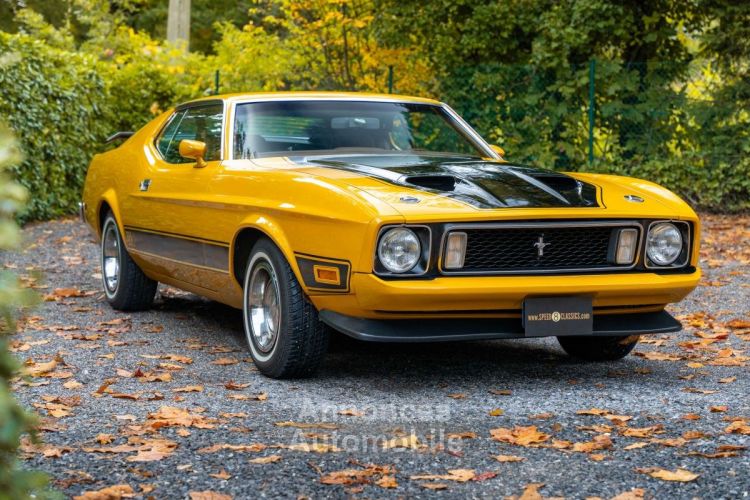 Ford Mustang Mach 1 - Prix sur Demande - #12