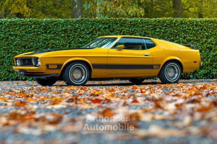 Ford Mustang Mach 1 - Prix sur Demande - #14