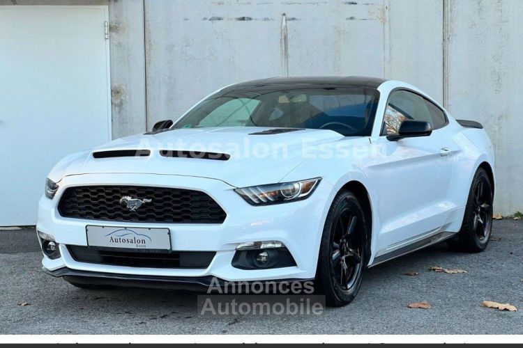 Ford Mustang performance tout compris hors homologation 4500e - <small></small> 21.890 € <small>TTC</small> - #3