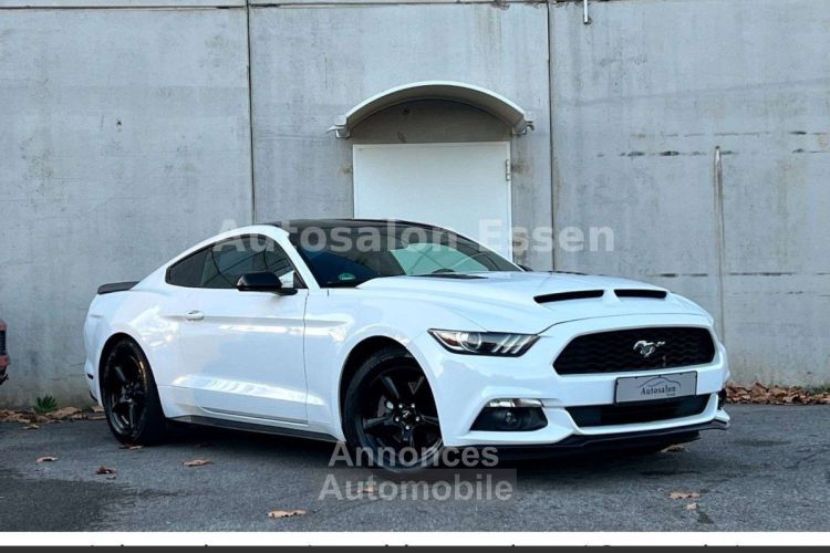 Ford Mustang performance tout compris hors homologation 4500e - <small></small> 21.890 € <small>TTC</small> - #9