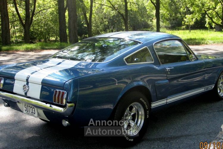 Ford Mustang Shelby fastback  - <small></small> 60.000 € <small>TTC</small> - #6