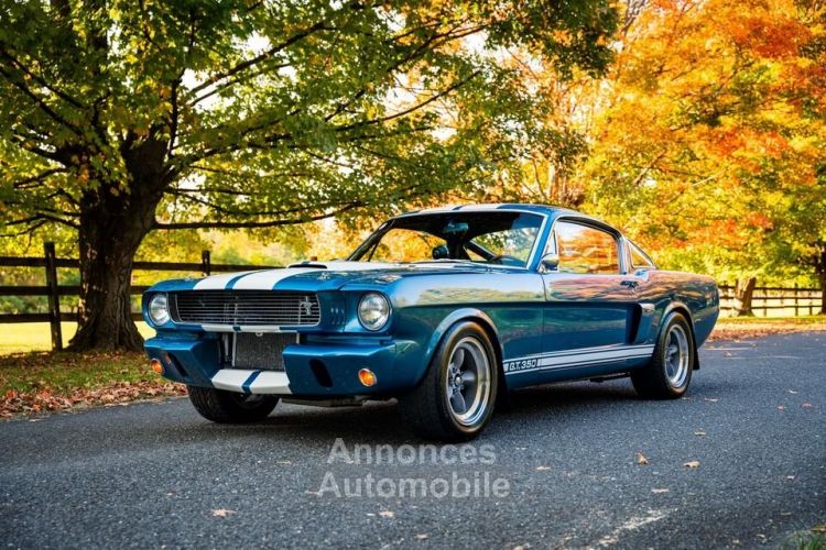 Ford Mustang Shelby GT 350 - <small></small> 236.400 € <small>TTC</small> - #1