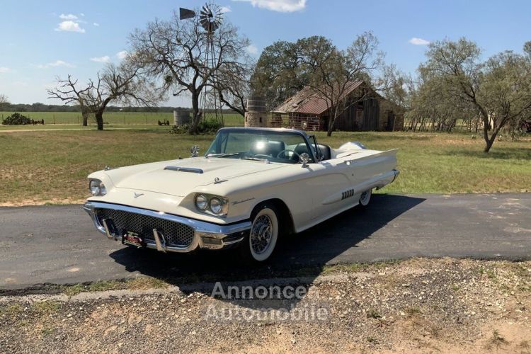 Ford Thunderbird - <small></small> 59.000 € <small>TTC</small> - #11