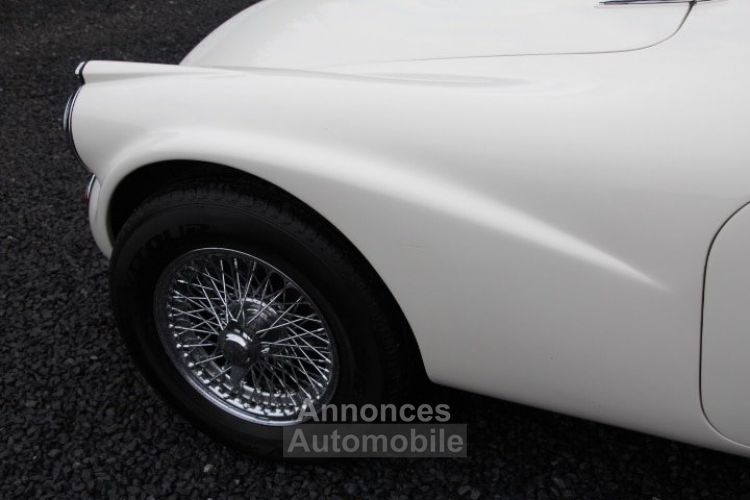 Jaguar Daimler SP 250 - <small></small> 48.900 € <small>TTC</small> - #98