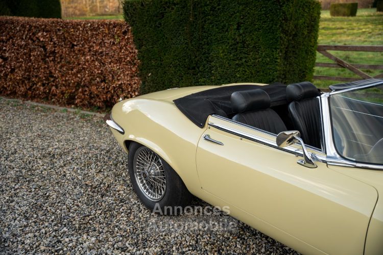 Jaguar E-Type S3 V12 Roadster Automatic - <small></small> 89.000 € <small>TTC</small> - #9