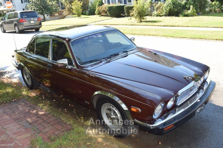 Jaguar XJ6 - <small></small> 15.300 € <small>TTC</small> - #5