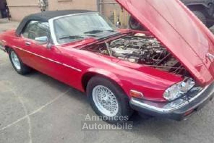 Jaguar XJS - <small></small> 17.000 € <small>TTC</small> - #8