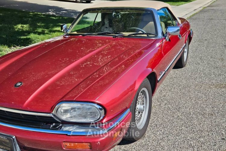 Jaguar XJS - <small></small> 17.000 € <small>TTC</small> - #2