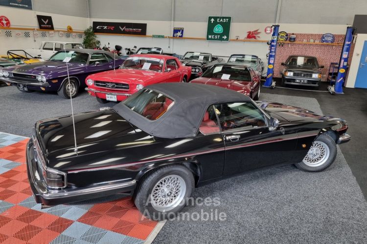 Jaguar XJS - <small></small> 29.900 € <small>TTC</small> - #13