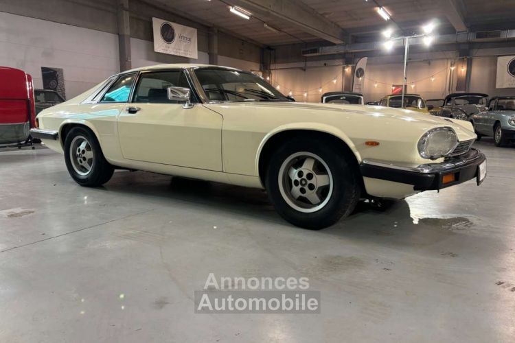 Jaguar XJS 3.6l Manueel - <small></small> 10.750 € <small>TTC</small> - #5