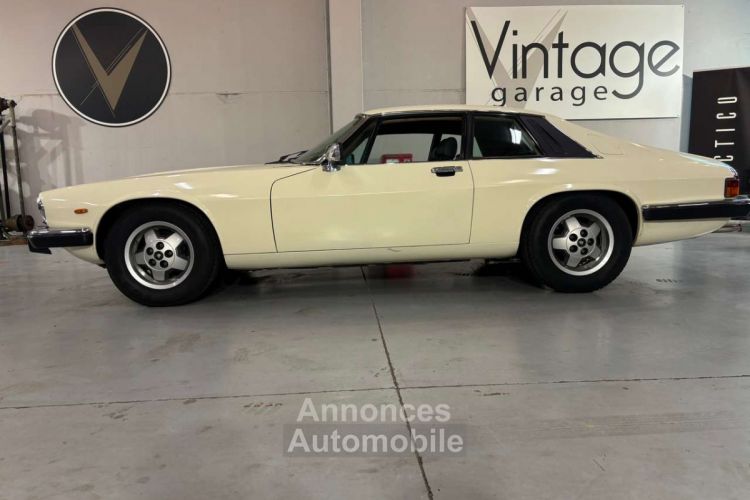 Jaguar XJS 3.6l Manueel - <small></small> 10.750 € <small>TTC</small> - #7