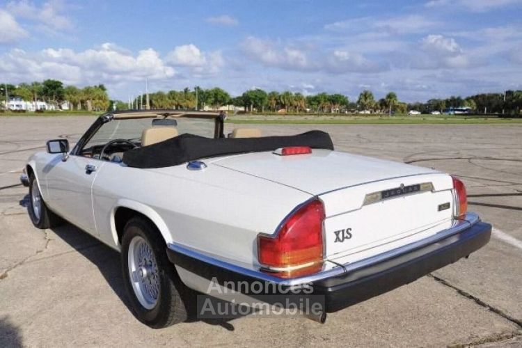 Jaguar XJS Convertible - <small></small> 19.500 € <small>TTC</small> - #3