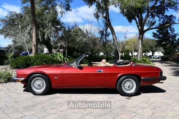 Jaguar XJS Convertible SYLC EXPORT - <small></small> 19.900 € <small>TTC</small> - #3