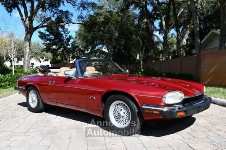 Jaguar XJS Convertible SYLC EXPORT - <small></small> 19.900 € <small>TTC</small> - #4