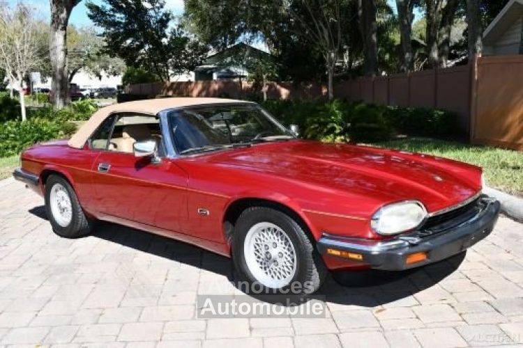 Jaguar XJS Convertible SYLC EXPORT - <small></small> 19.900 € <small>TTC</small> - #7