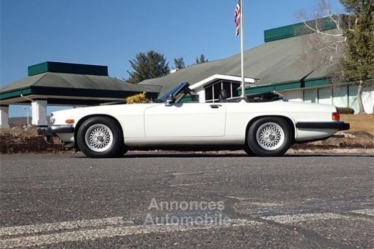 Jaguar XJS Roadster SYLC EXPORT - <small></small> 17.900 € <small>TTC</small> - #2