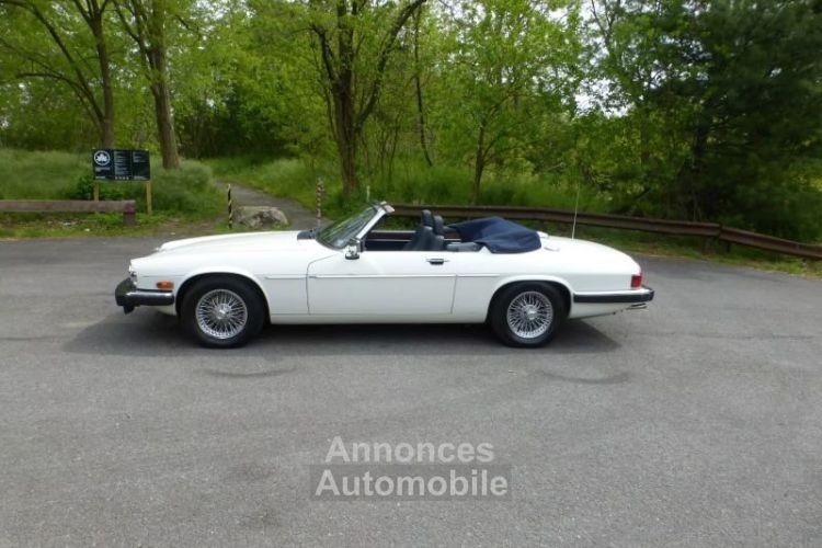 Jaguar XJS SYLC EXPORT - <small></small> 16.900 € <small>TTC</small> - #2