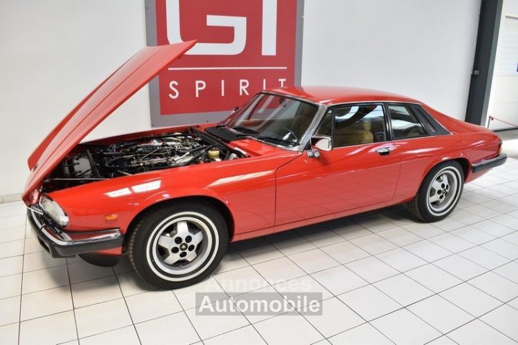 Jaguar XJS V12 - <small></small> 25.900 € <small>TTC</small> - #38