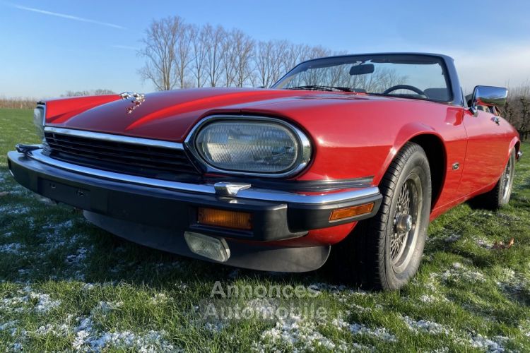 Jaguar XJS V12 - <small></small> 23.500 € <small>TTC</small> - #14