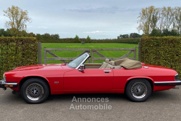 Jaguar XJS V12 - <small></small> 23.500 € <small>TTC</small> - #5