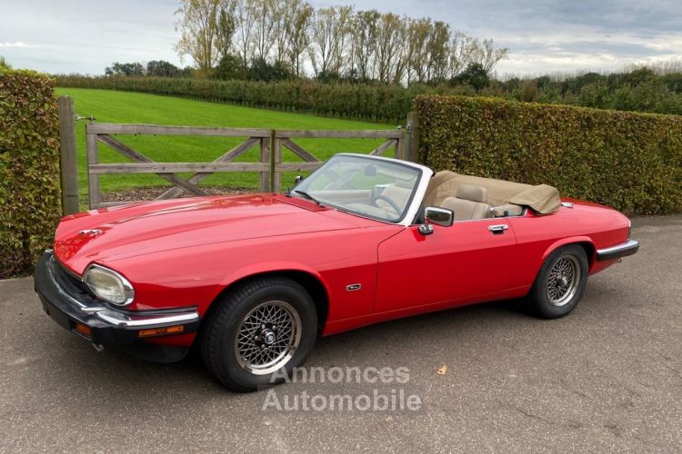 Jaguar XJS V12 - <small></small> 23.500 € <small>TTC</small> - #6