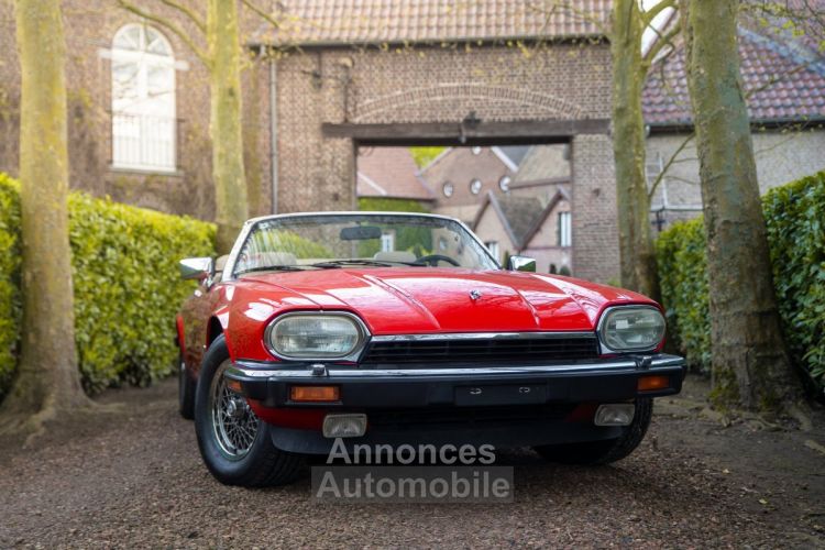 Jaguar XJS V12 - <small></small> 23.500 € <small>TTC</small> - #11