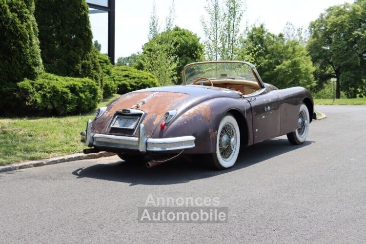 Jaguar XK - <small></small> 58.600 € <small>TTC</small> - #6