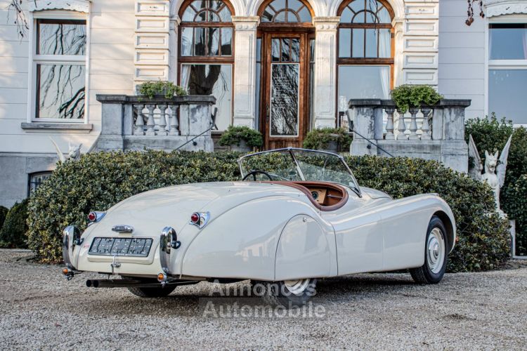 Jaguar XK120 XK 120 Open Top Speedster (OTS) LHD 1951 - OLDTIMER - GERESTAUREERD - MATCHING NUMBERS - SOFTTOP - CREAM WHITE - <small></small> 99.999 € <small>TTC</small> - #13