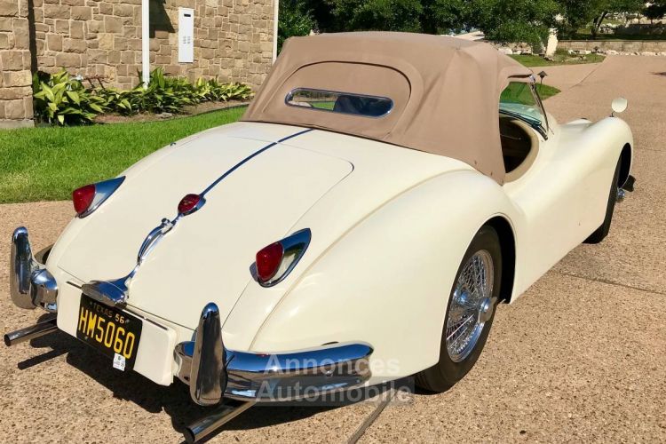 Jaguar XK140 - <small></small> 106.000 € <small>TTC</small> - #7